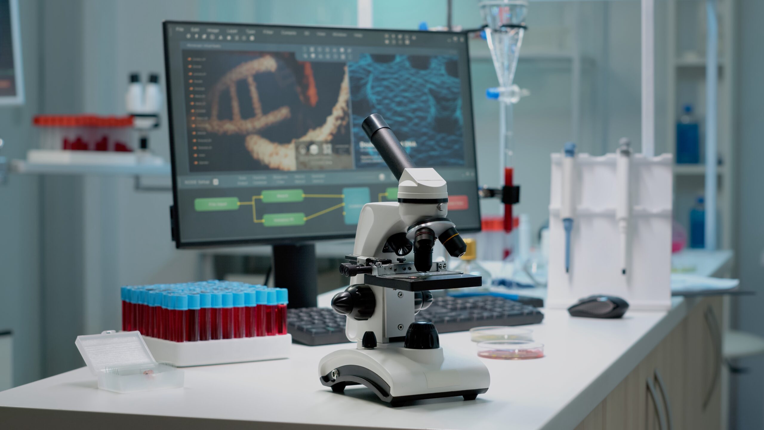 How Does the Scientific Method Work for Beginners? A Simple Step-by-Step Guide